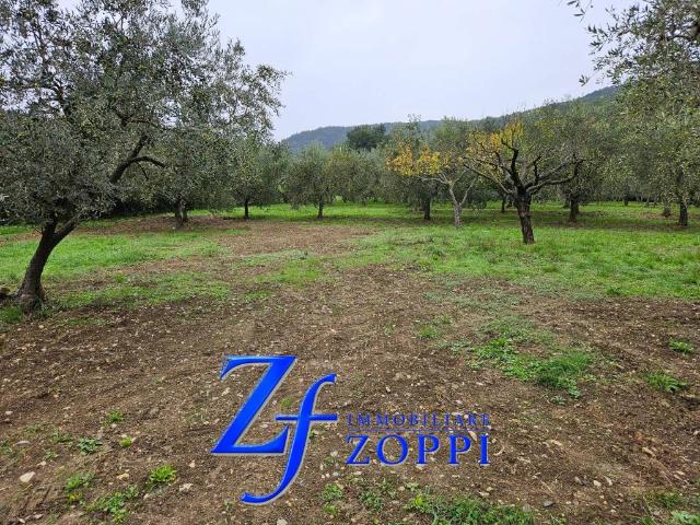 Terreno in vendita a Calenzano, Toscana