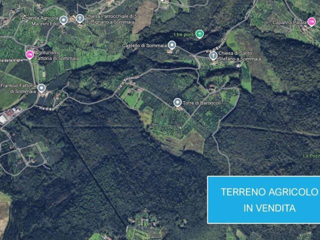 Terreno in vendita a Sommaia, Calenzano