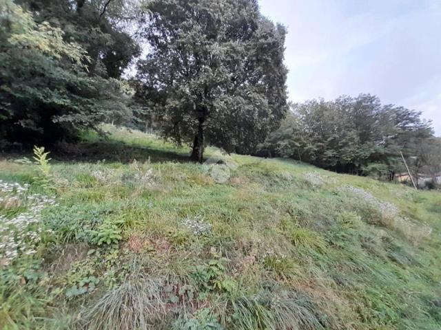 Terreno in vendita a Sala, Calolziocorte