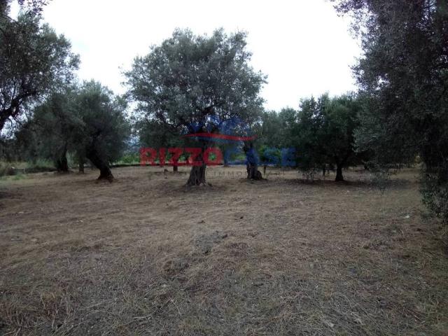 Terreno in vendita a Calabria, Cosenza
