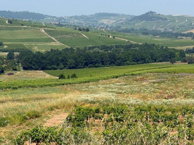 Terreno in vendita a Piemonte, Asti