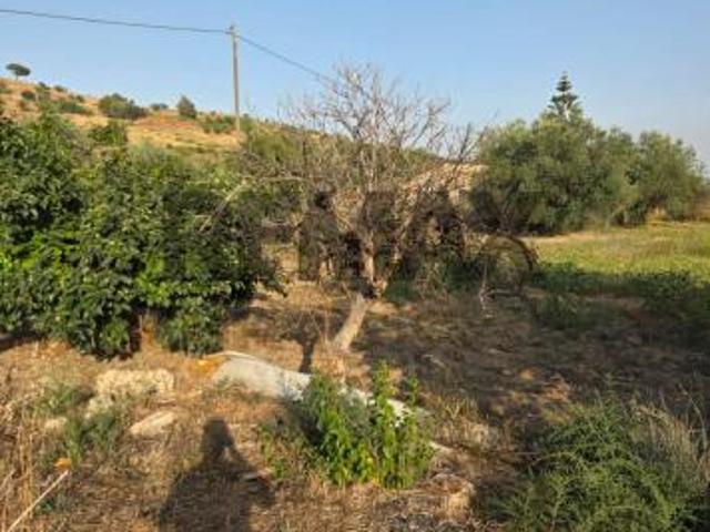 Terreno in vendita a Caltagirone, Sicilia