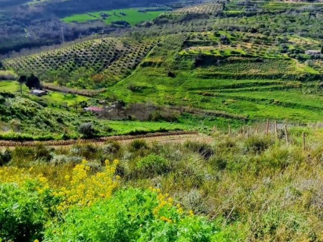 Terreno in vendita a Caltagirone, Sicilia