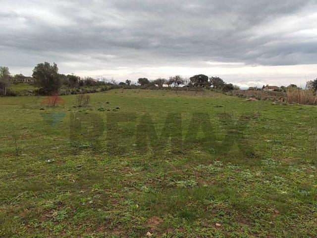 Terreno in vendita a Caltagirone, Sicilia