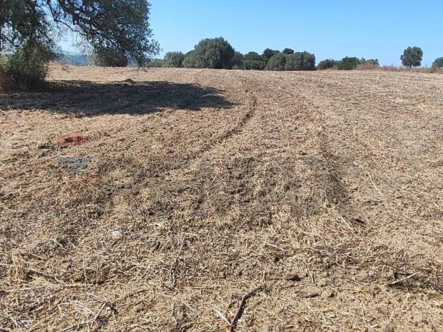 Terreno in vendita a Caltagirone, Sicilia