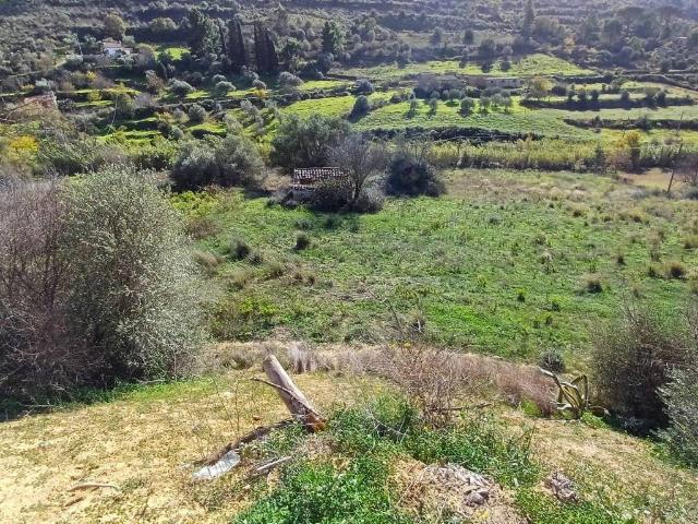 Terreno in vendita a Caltagirone, Sicilia