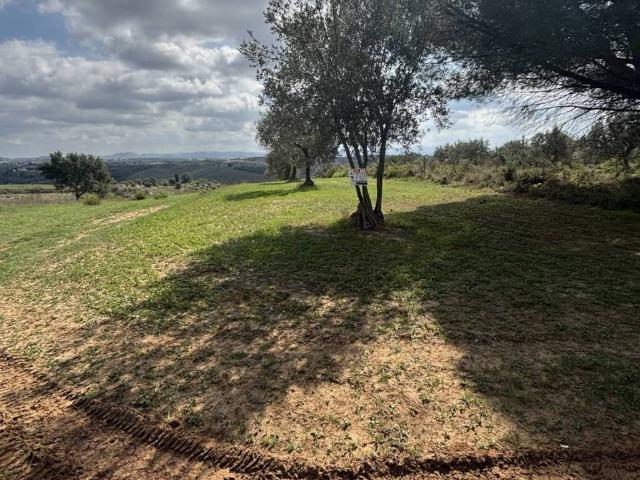 Terreno in vendita a Caltagirone, Catania