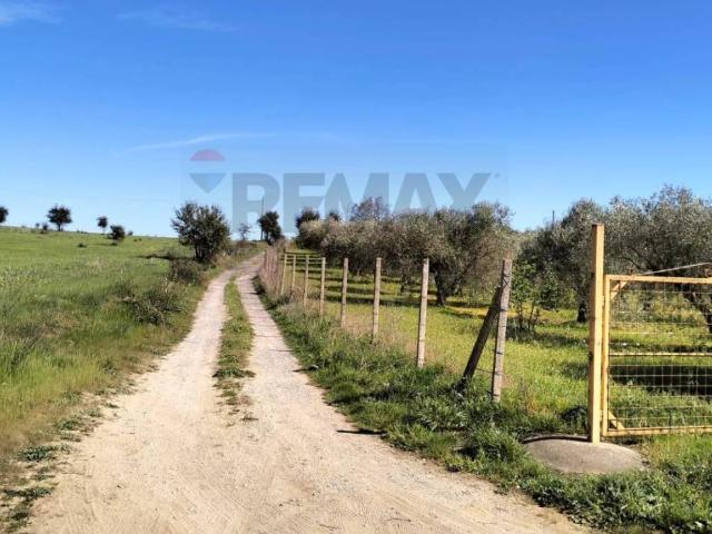 Terreno in vendita a Caltagirone, Sicilia