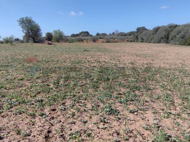 Terreno in vendita a Canalotto, Caltagirone