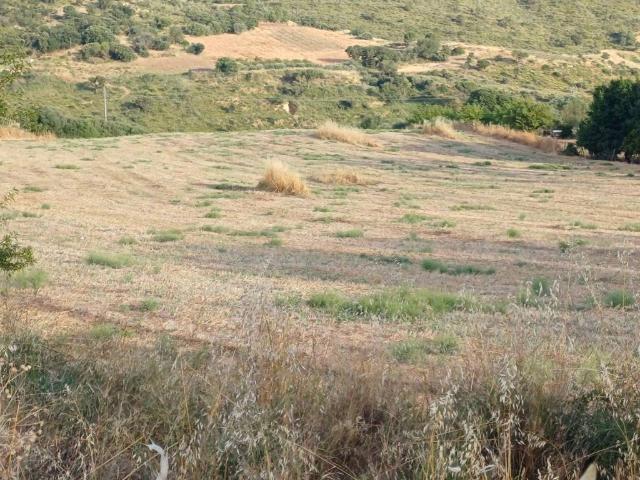 Terreno in vendita a Caltagirone, Sicilia