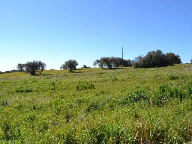 Terreno in vendita a Caltagirone, Sicilia