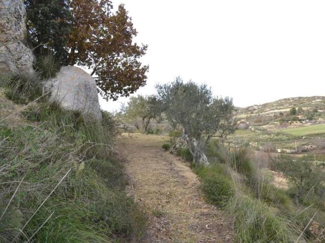Terreno in vendita a Caltagirone, Sicilia