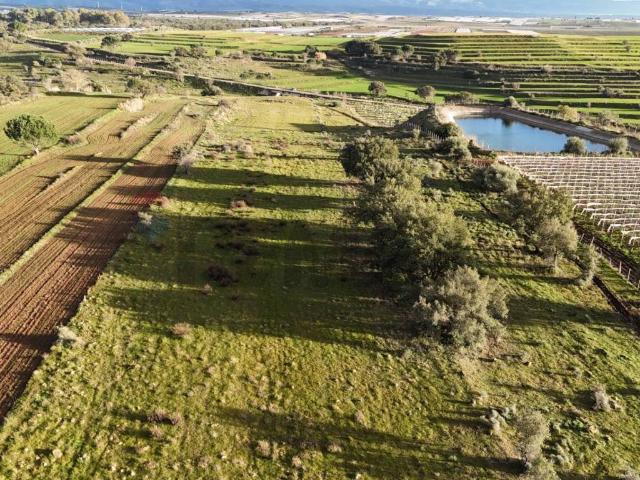Terreno in vendita a Caltagirone, Sicilia