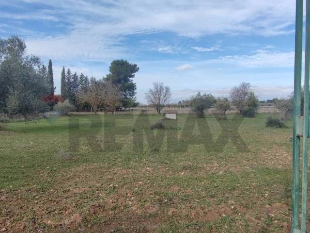 Terreno in vendita a Caltagirone, Sicilia