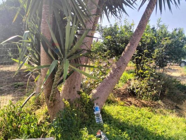 Terreno in vendita a Caltagirone, Sicilia