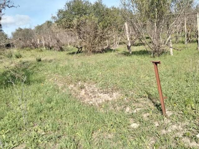 Terreno in vendita a Caltagirone, Sicilia