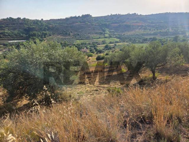 Terreno in vendita a Caltagirone, Sicilia