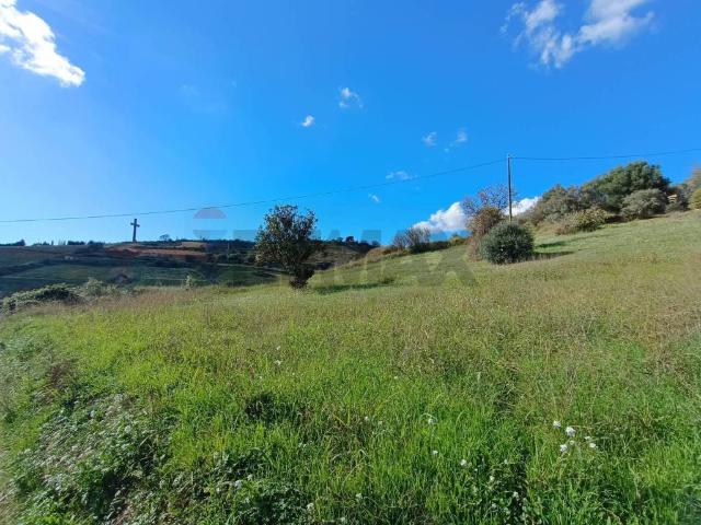 Terreno in vendita a Caltagirone, Sicilia