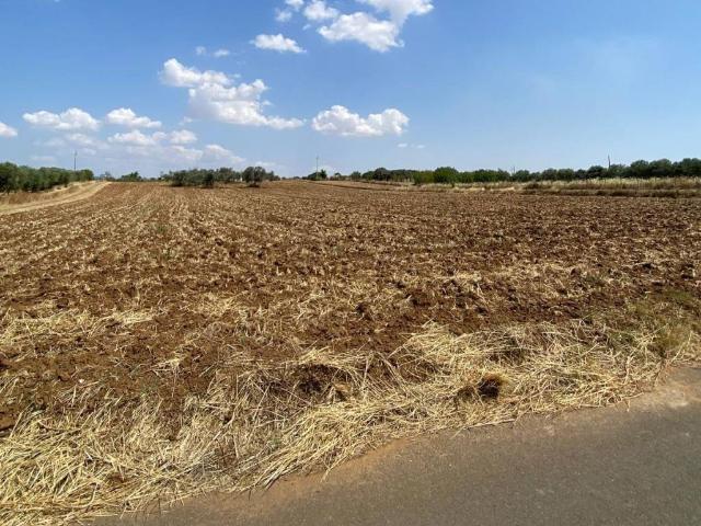 Terreno in vendita a Canalotto, Caltagirone