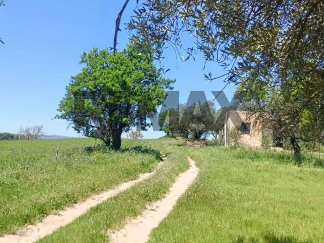 Terreno in vendita a Caltagirone, Sicilia