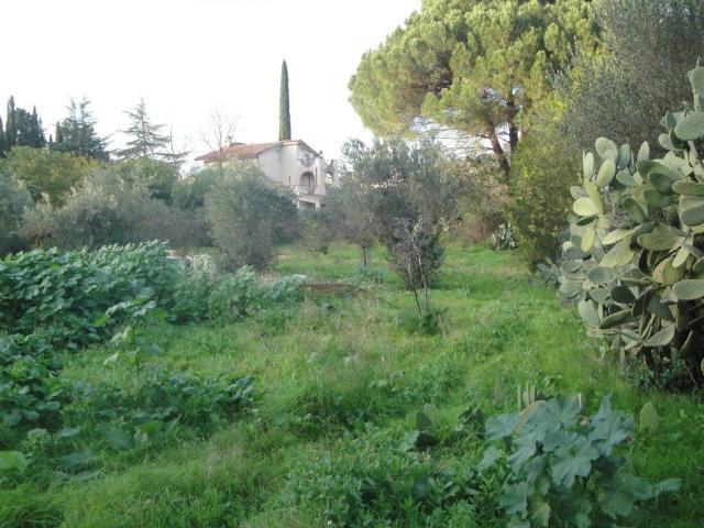 Terreno in vendita a Caltanissetta, Sicilia