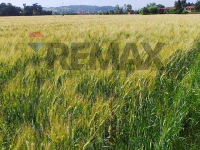 Terreno in vendita a Caltanissetta, Sicilia
