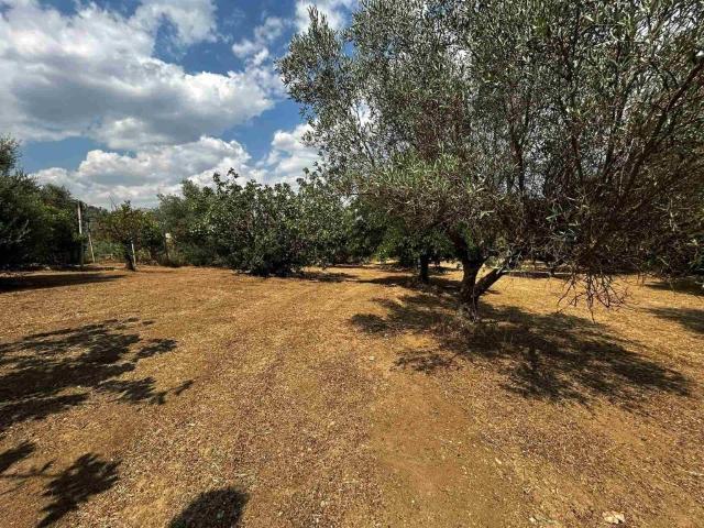 Terreno in vendita a Caltanissetta, Sicilia