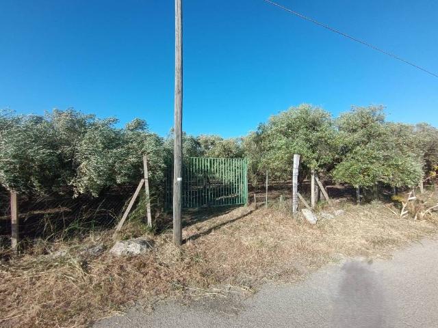 Terreno in vendita a Caltanissetta, Sicilia