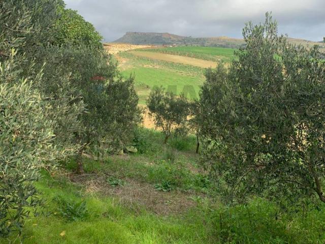 Terreno in vendita a Quartiere Provvidenza, Caltanissetta