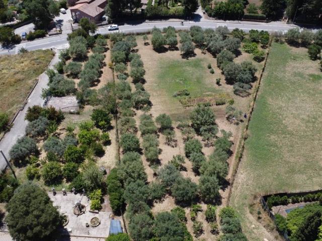 Terreno in vendita a Caltanissetta, Sicilia