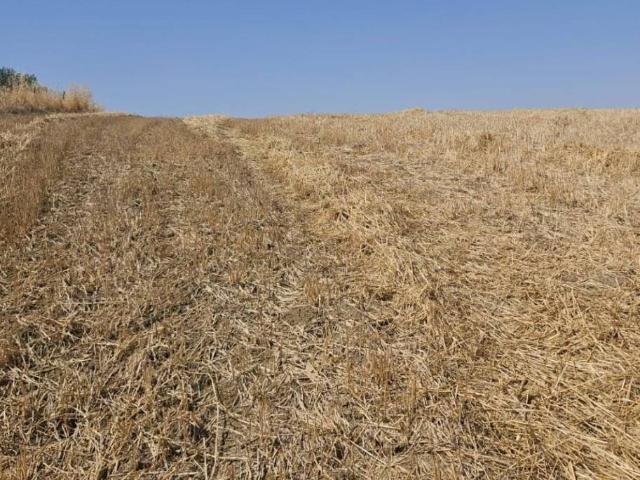 Terreno in vendita a Caltanissetta, Sicilia