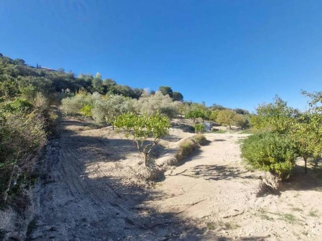 Terreno in vendita a Caltanissetta, Sicilia
