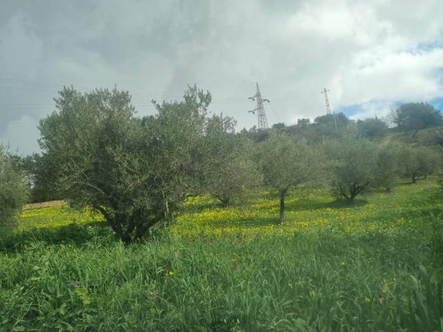Terreno in vendita a Caltanissetta, Sicilia