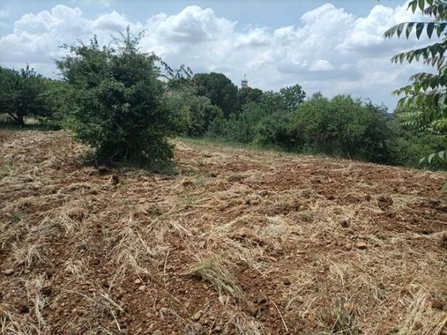 Terreno in vendita a Caltanissetta, Sicilia