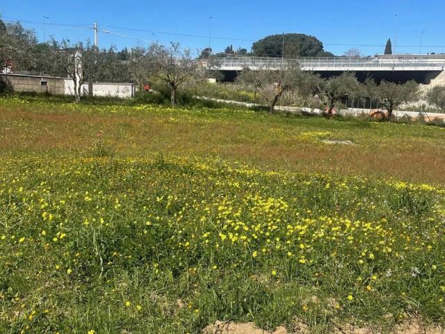 Terreno in vendita a Caltanissetta, Sicilia