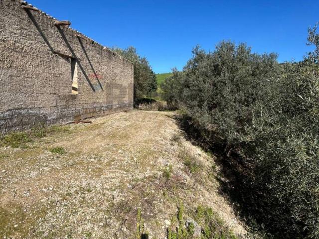Terreno in vendita a Quartiere Provvidenza, Caltanissetta