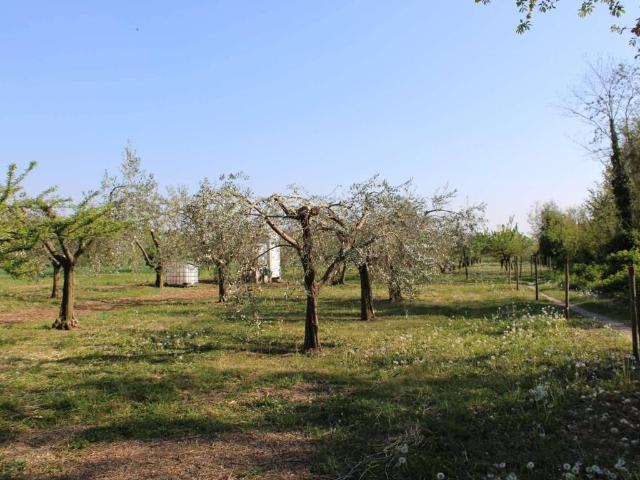 Terreno in vendita a Calusco D'adda, Lombardia