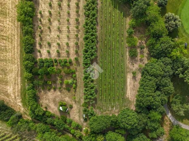 Terreno in vendita a Soiano Del Lago, Lombardia