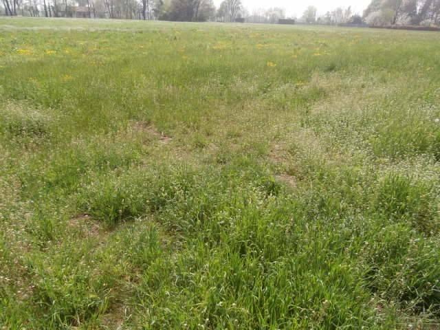 Terreno in vendita a Calvagese Della Riviera, Lombardia