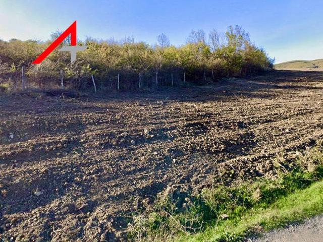 Terreno in vendita a Calvello, Basilicata