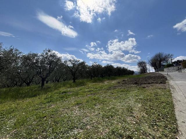 Terreno in vendita a Calvi, Campania