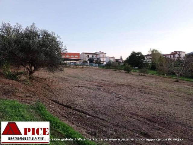 Terreno in vendita a Calvi, Campania
