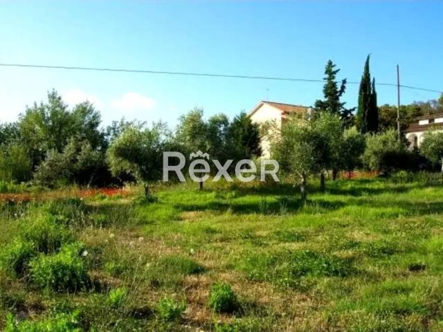 Terreno in vendita a Calvi Dell'umbria, Umbria