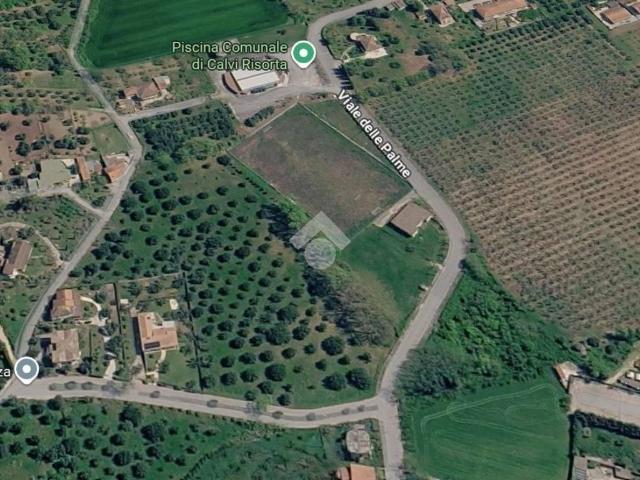 Terreno in vendita a Calvi Risorta