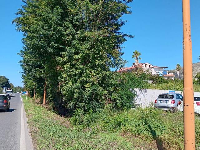 Terreno in vendita a Calvi Risorta, Campania