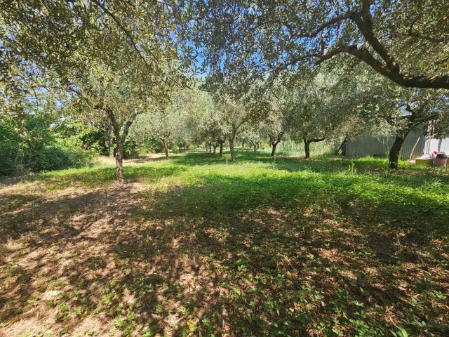 Terreno in vendita a Calvi Risorta, Campania