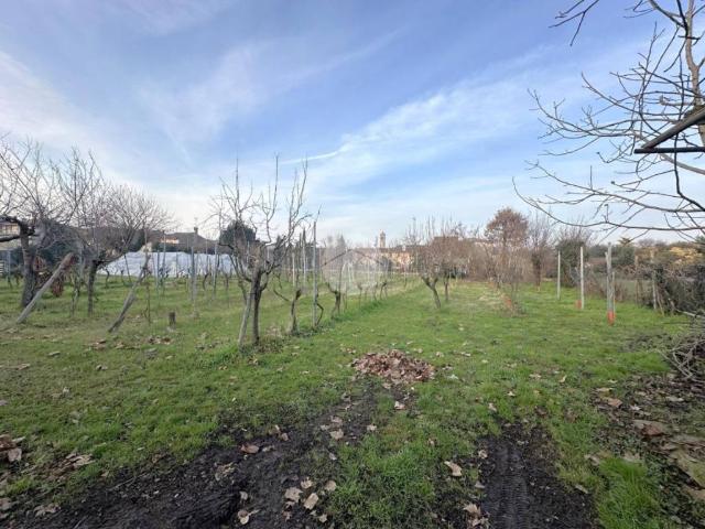 Terreno in vendita a Calvisano, Lombardia