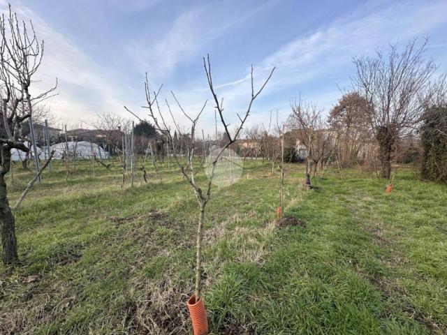 Terreno in vendita a Calvisano, Lombardia