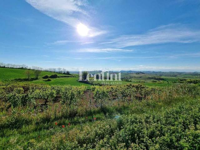 Terreno in vendita a Piemonte, Alessandria