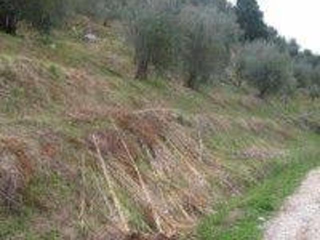 Terreno in vendita a Camaiore, Toscana